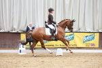 SBM_002847