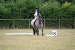 WJ6_1261