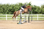 Class 14 - National 1.30m-1.40m portfolio