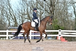 Dressage - CT Class 6 BE102 portfolio