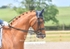 BPP_0574