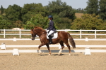 SBM_005793