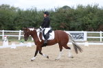 SBM_003586
