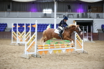 SBM_001808