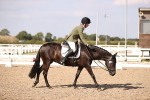 SBM_08009