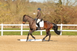 SBM_003743