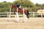 SBM_005860