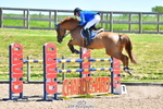 Cls 15 Foxhunter portfolio