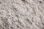 SBM_000130