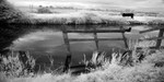 Hungerford 2