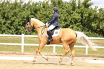 SBM_002996