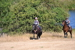 WJ6_7886