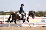 SBM_01913