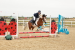 SBM_007377