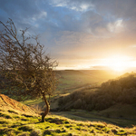 Swaledale Sunset