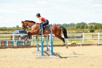 SBM_005233