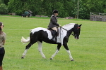SIAL3714