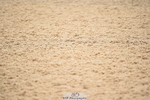 230416A-110844-03997