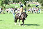 SBM_50284
