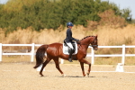 SBM_018316