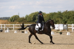 SBM_015068