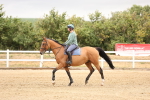 SBM_022936