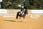 SBM_14176