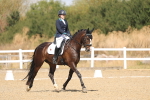 SBM_009019