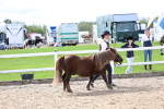 SBM_01907