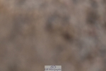 250125-125010-00506