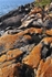 GeorgianBay11-008