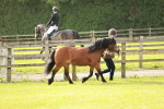 SBM_00448