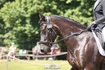 276-Caitlyn_Faull-Rhosygarreg_Diamond portfolio