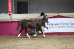 SBM_06532