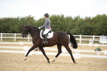 SBM_002848