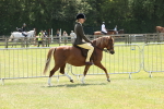 SBM_06722