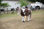 WJ6_8032