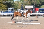 BPP_8357