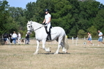 WJ7_9661