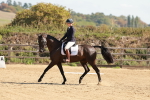 SBM_009946