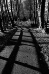 Langden Walk 02