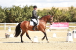 SBM_004175