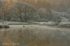 Winter Reflections