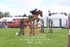 BPP_6352