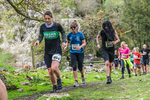 Dovedale Dash-1795