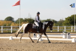 SBM_006990