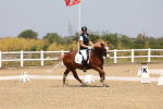 SBM_004313