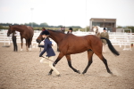 SBM_08236