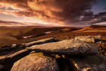 Derwent