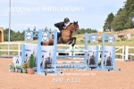 BPP_6331